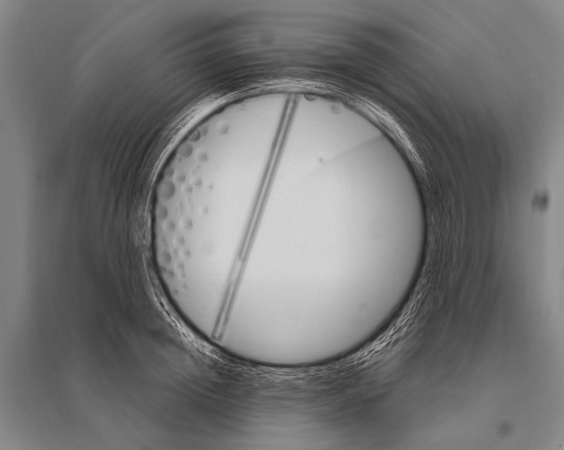 X0000094820852200712141643