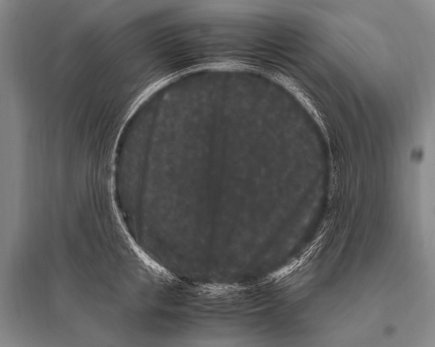 X0000094820853200712141643