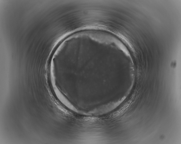 X0000094820854200712141643