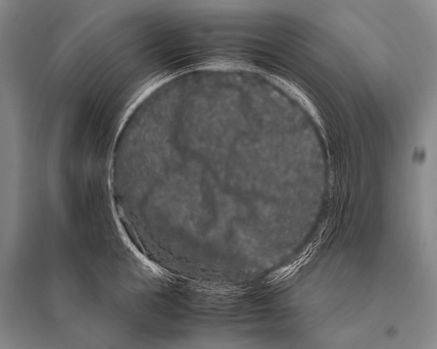 X0000094820855200712141643