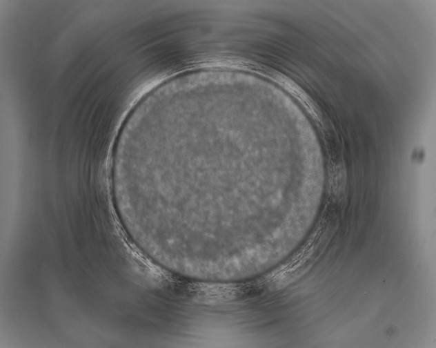 X0000094820856200712141643