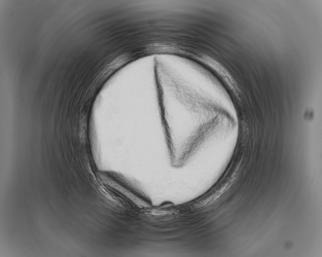 X0000094820857200712141643