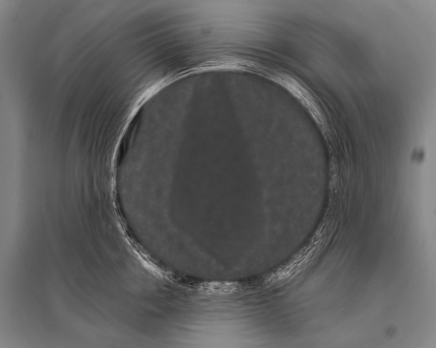 X0000094820858200712141643