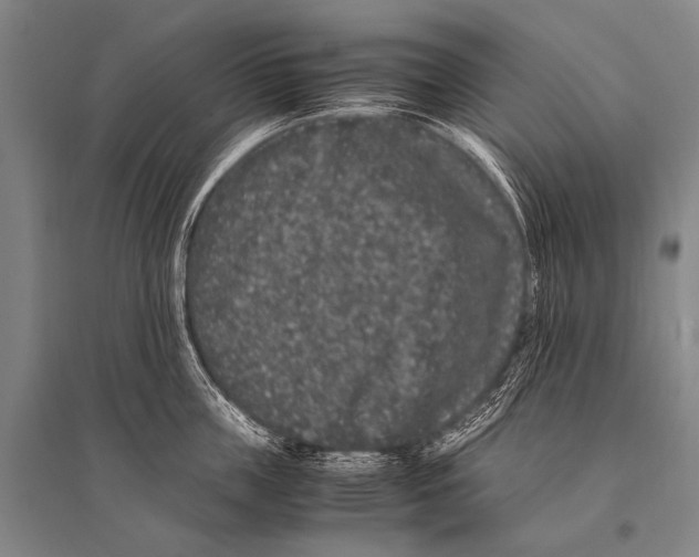 X0000094820859200712141643