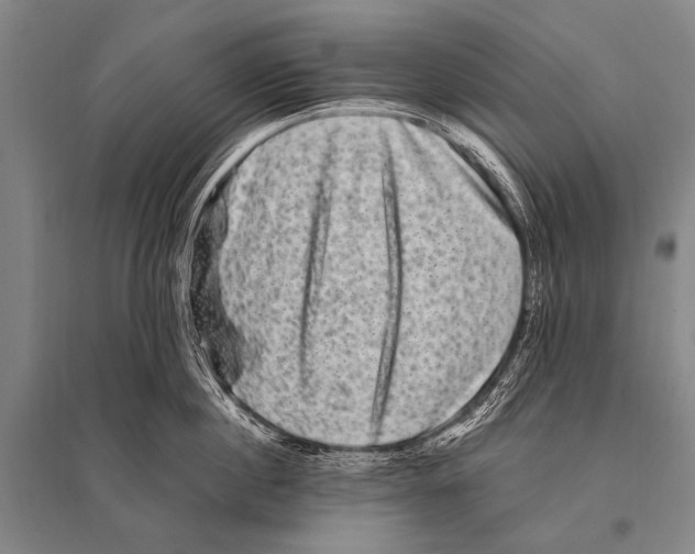 X0000094820860200712141643