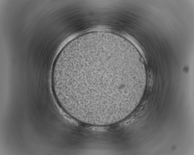 X0000094820861200712141643