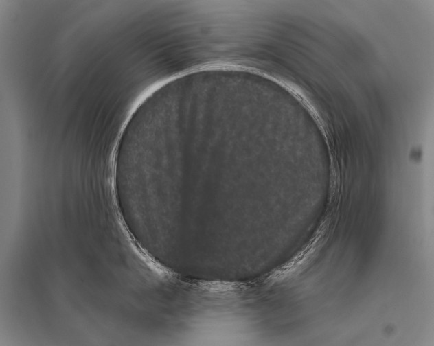 X0000094820862200712141643