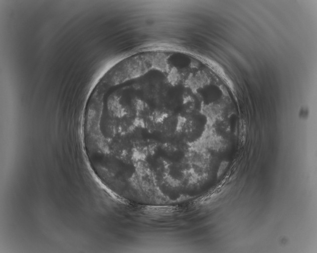 X0000094820863200712141643