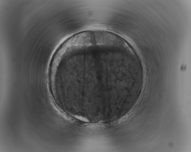 X0000094820864200712141643