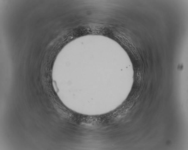 X0000094820865200712141642