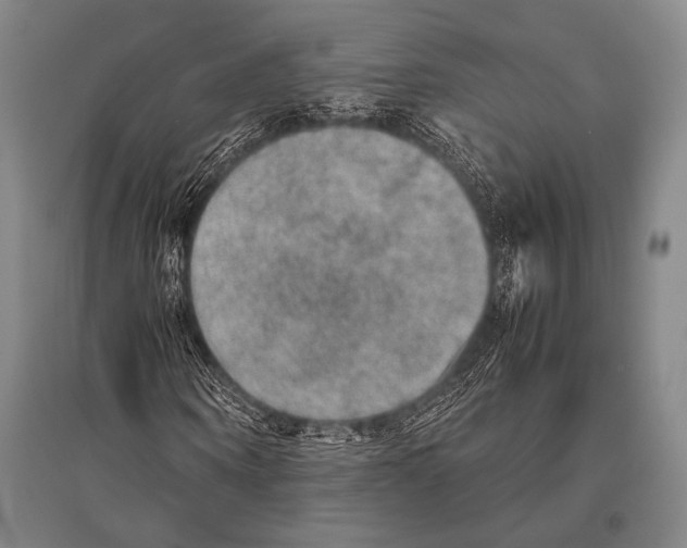 X0000094820866200712141642