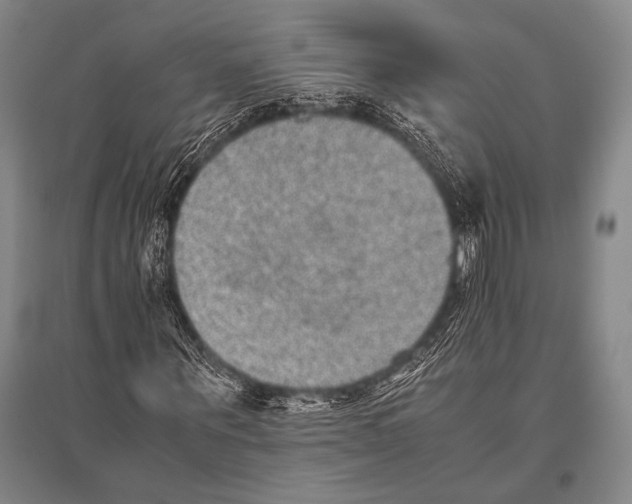 X0000094820867200712141642