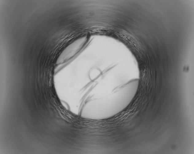 X0000094820868200712141642