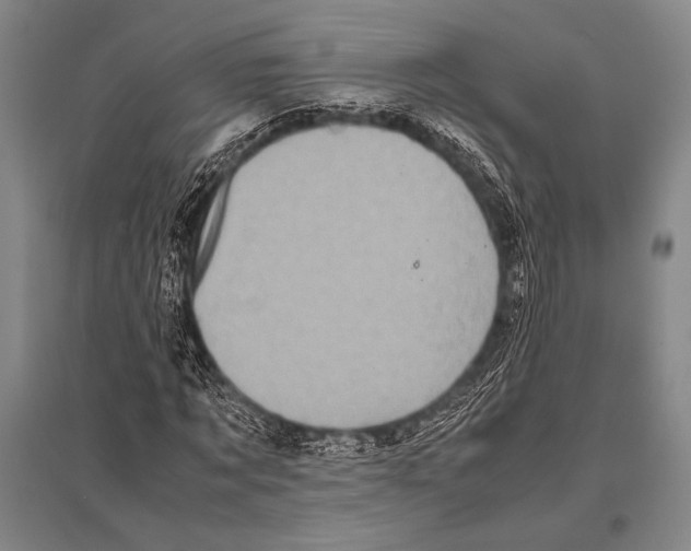 X0000094820869200712141642