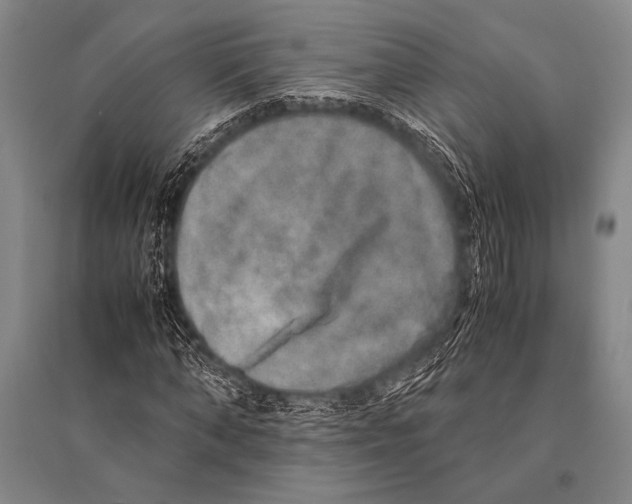 X0000094820870200712141642