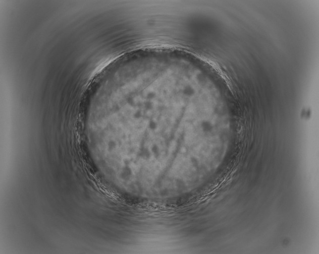 X0000094820871200712141642