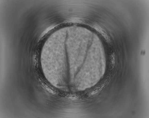 X0000094820872200712141642