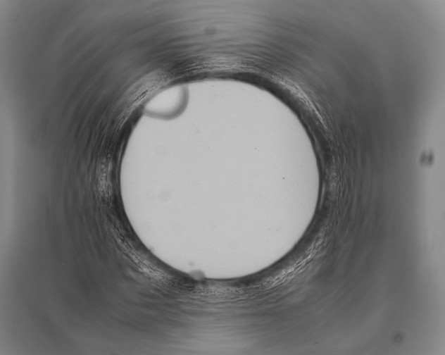 X0000094820873200712141642