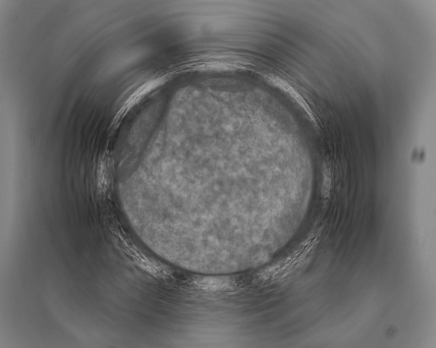 X0000094820874200712141642