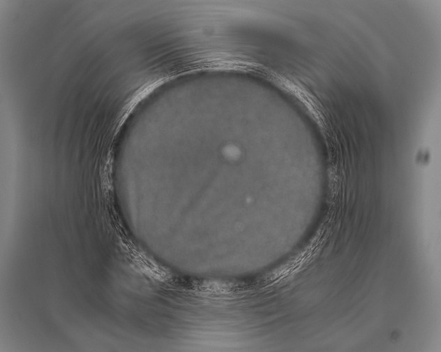 X0000094820875200712141642