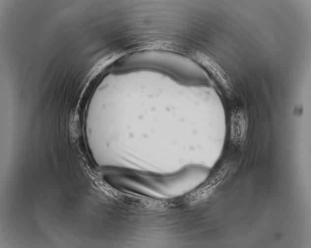 X0000094820876200712141642