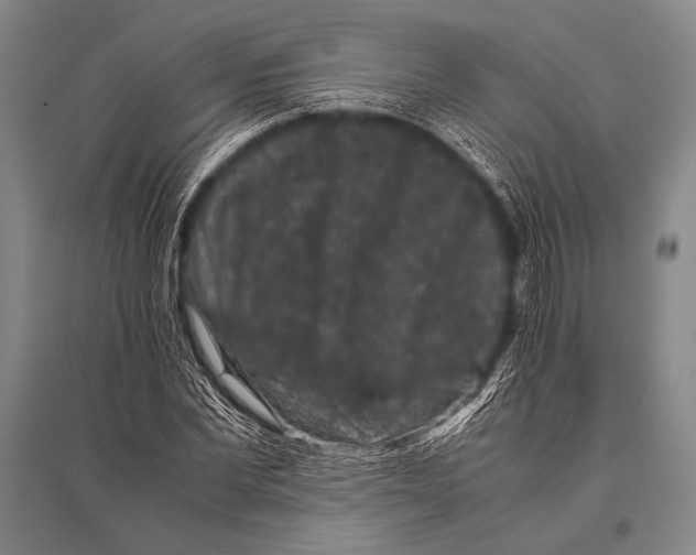 X0000094820877200712141642