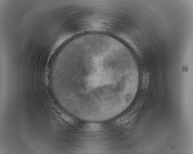 X0000094820878200712141642