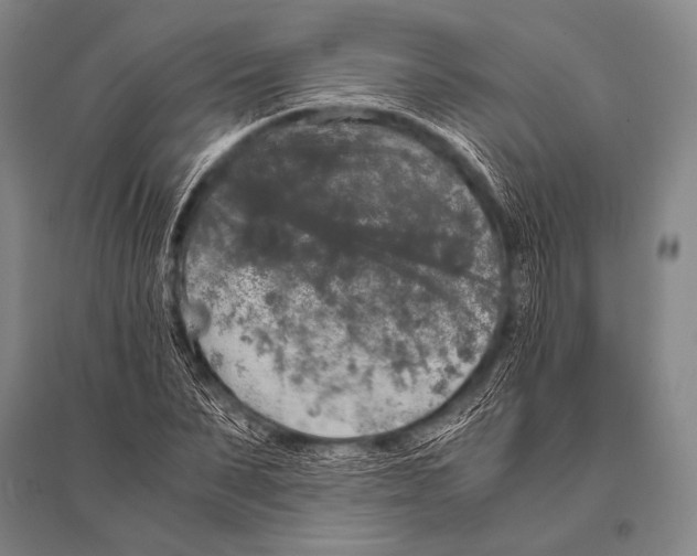 X0000094820879200712141642