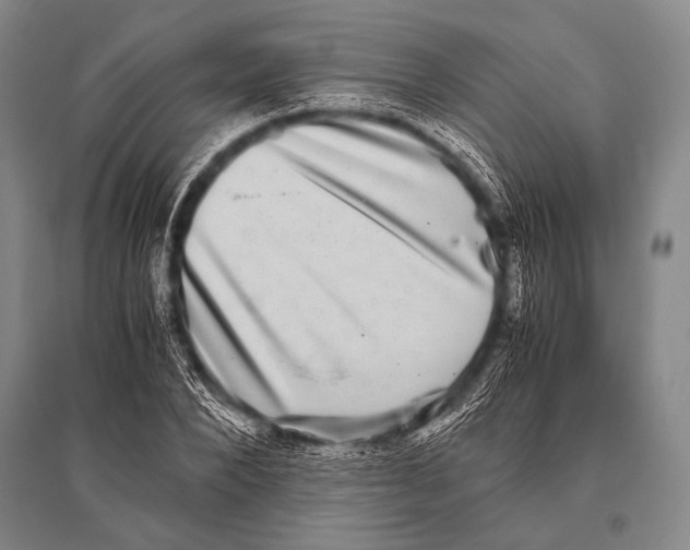 X0000094820880200712141642