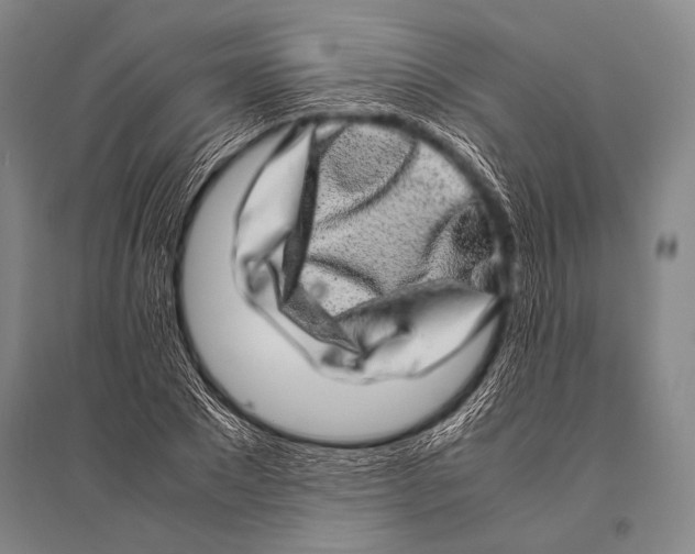 X0000094820881200712141642