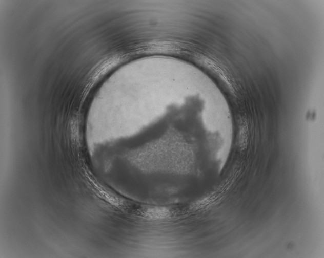 X0000094820882200712141642