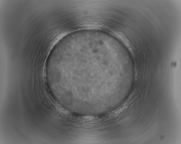 X0000094820883200712141642