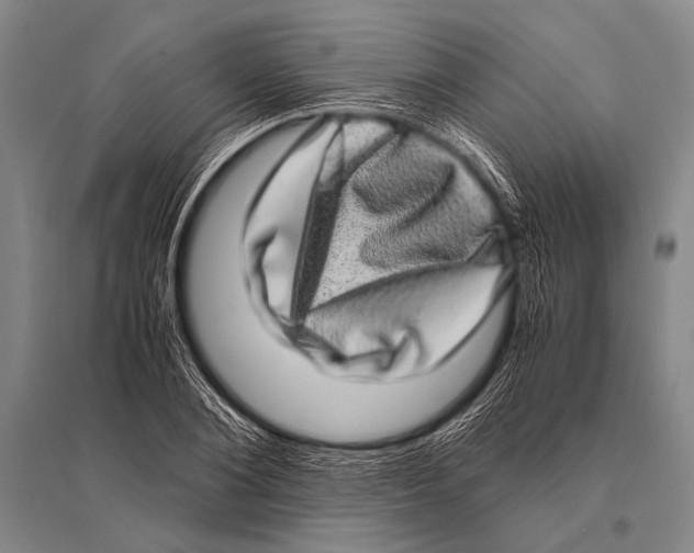 X0000094820884200712141642