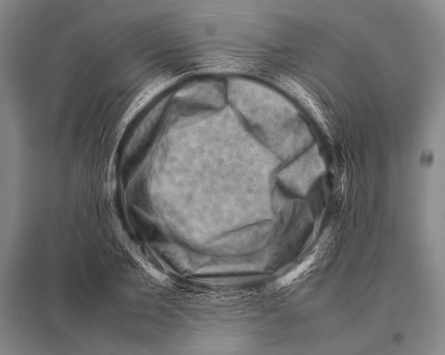 X0000094820885200712141642