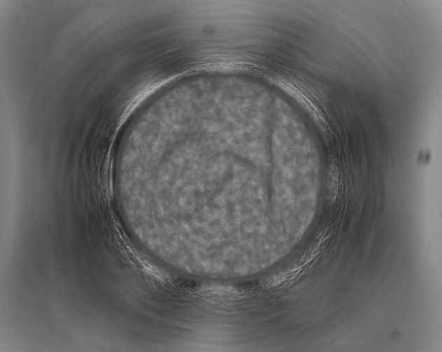 X0000094820886200712141642