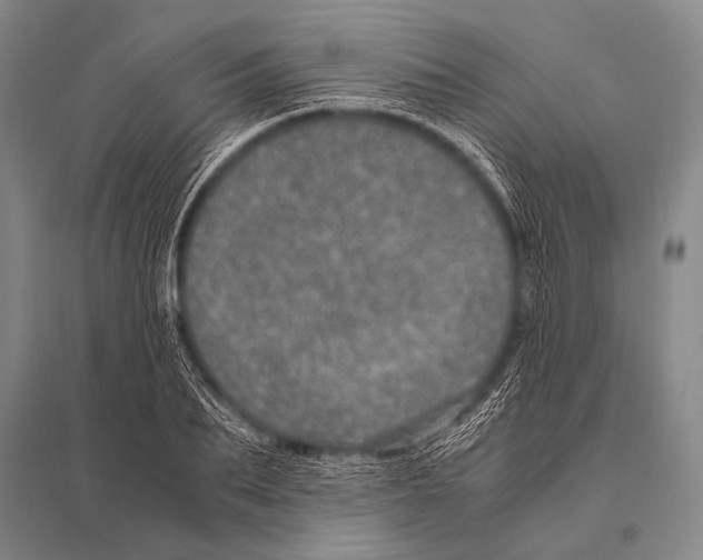 X0000094820887200712141642