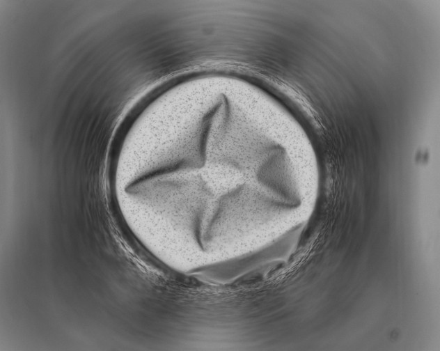 X0000094820888200712141642