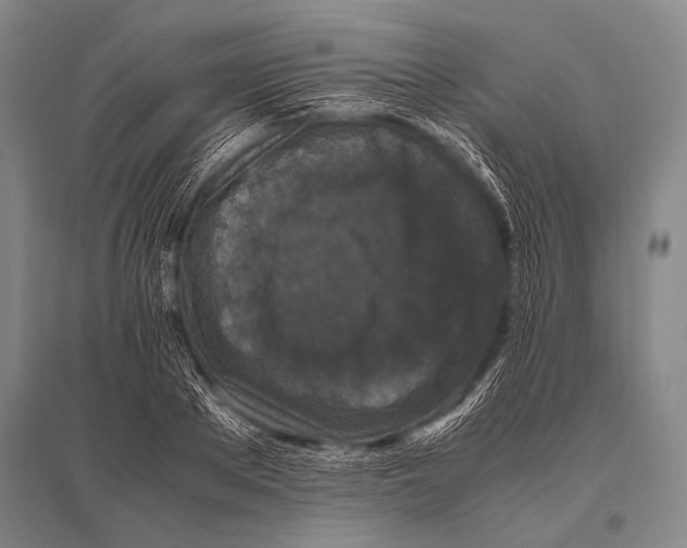 X0000094820889200712141642