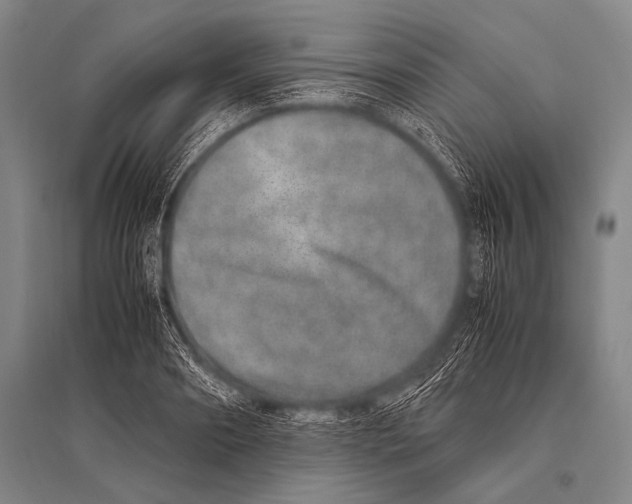 X0000094820890200712141642