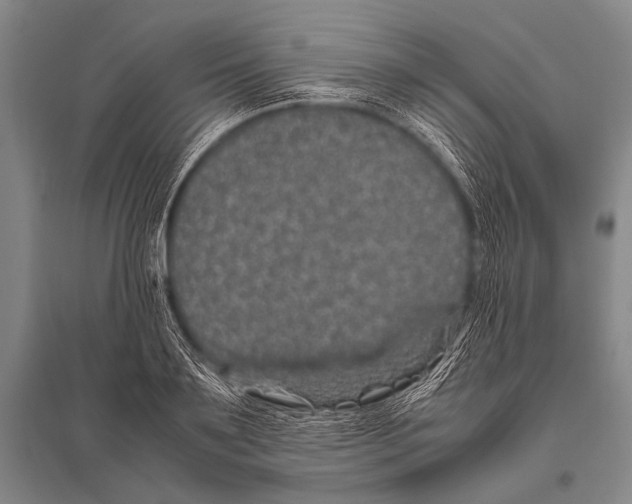 X0000094820891200712141642