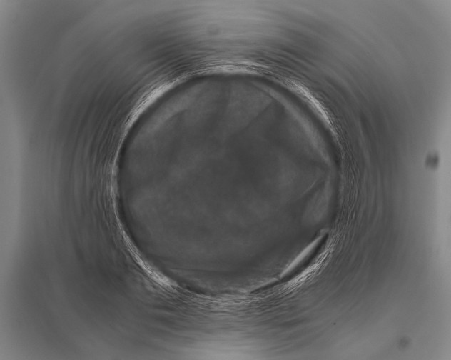 X0000094820893200712141642