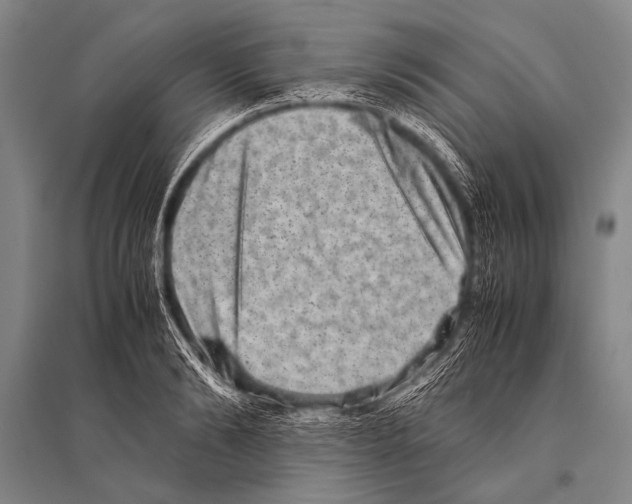 X0000094820894200712141642