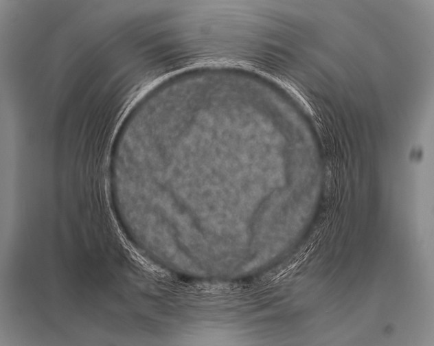 X0000094820895200712141642