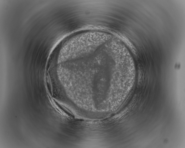 X0000094820896200712141642