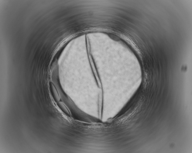 X0000094820898200712141642