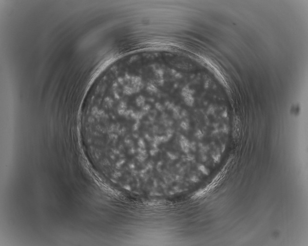 X0000094820899200712141642