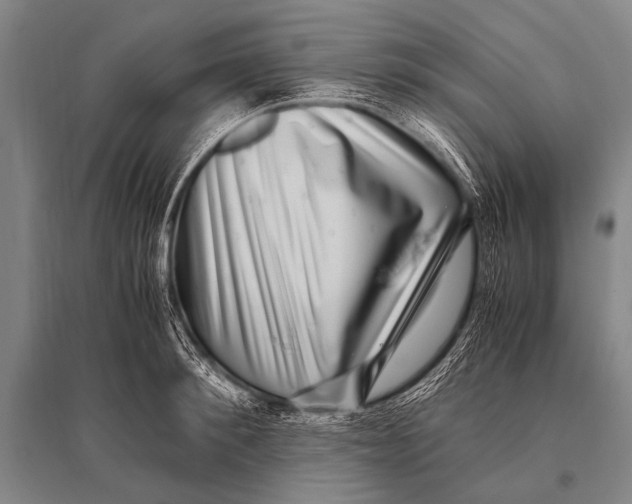 X0000094820900200712141642