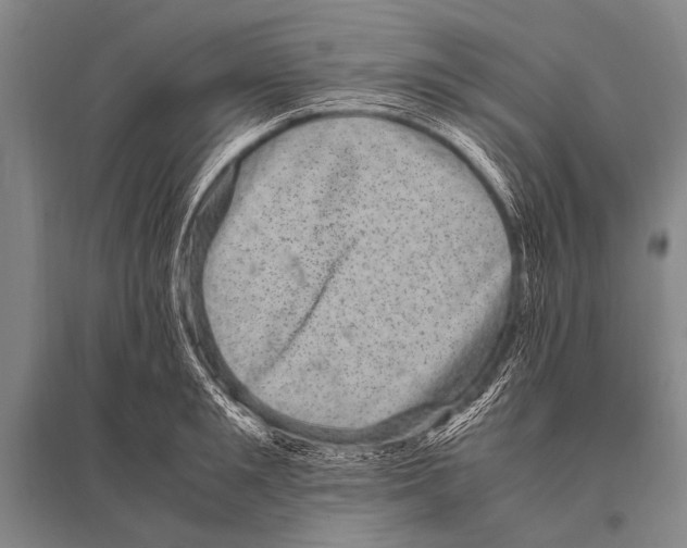 X0000094820901200712141642