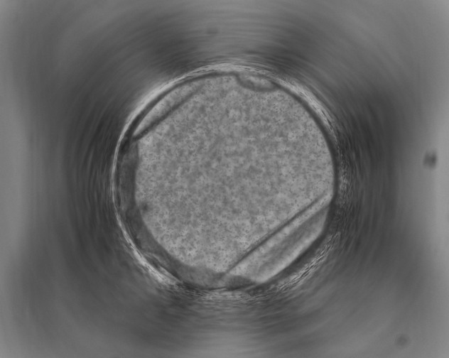 X0000094820902200712141642