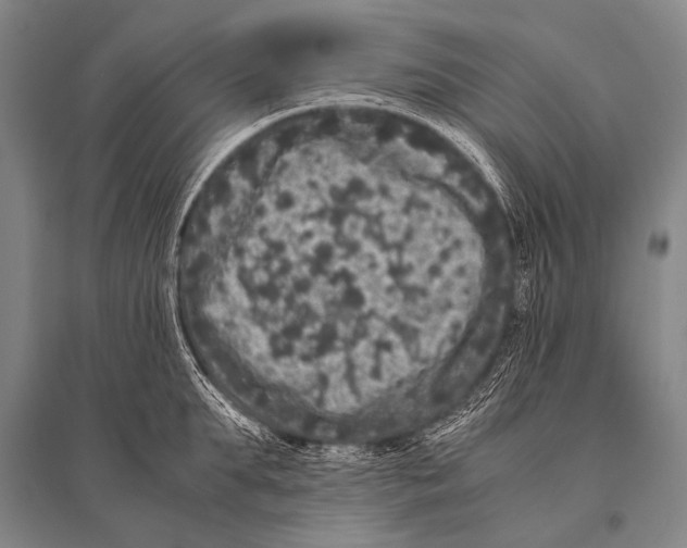 X0000094820903200712141642